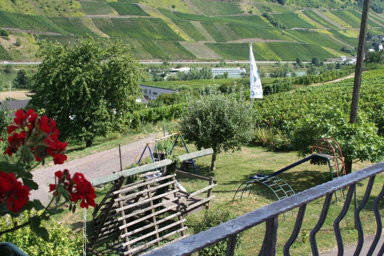 Weingut-Brennerei-Gaestehaus Emil Dauns Рейл Экстерьер фото