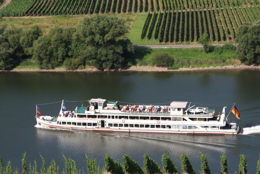 Weingut-Brennerei-Gaestehaus Emil Dauns Рейл Экстерьер фото