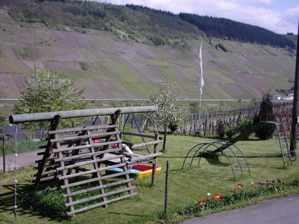 Weingut-Brennerei-Gaestehaus Emil Dauns Рейл Экстерьер фото