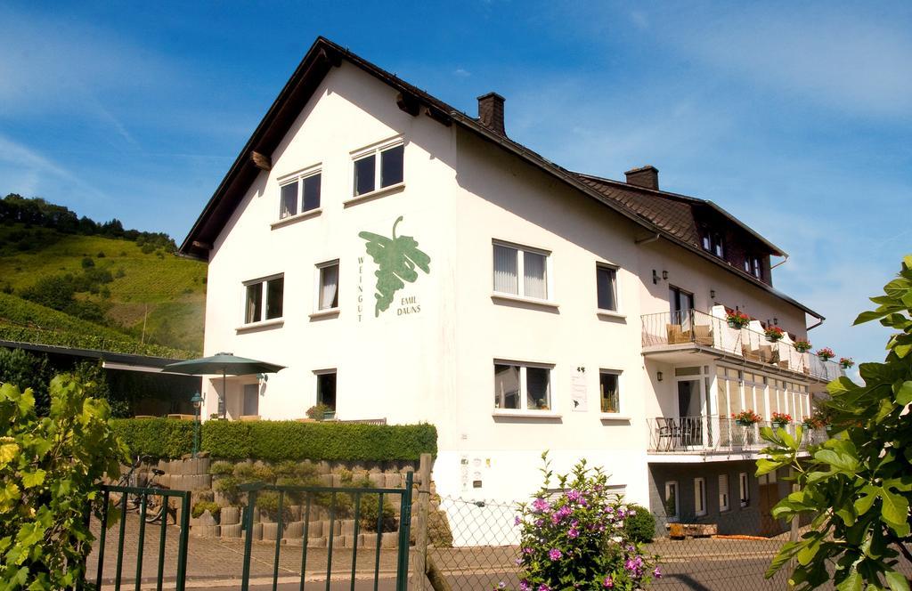 Weingut-Brennerei-Gaestehaus Emil Dauns Рейл Экстерьер фото