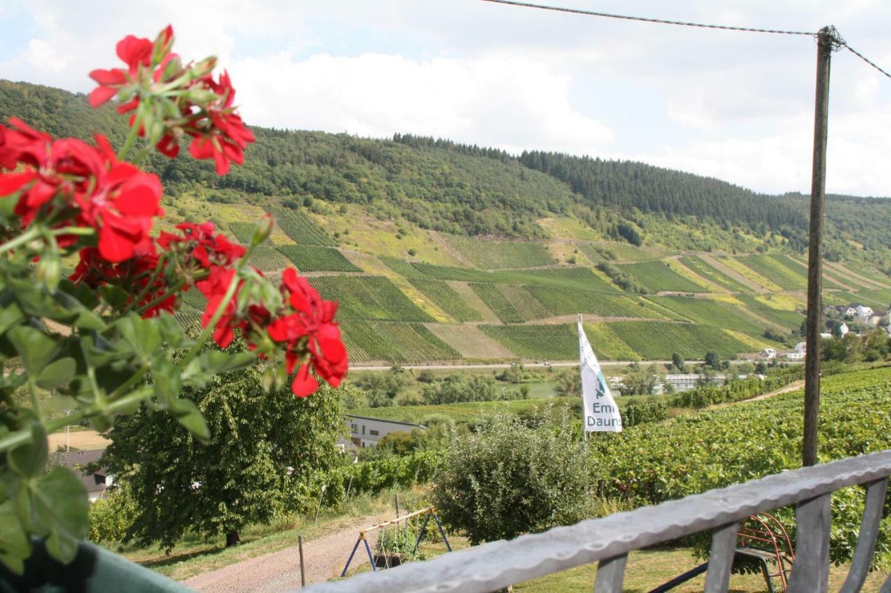 Weingut-Brennerei-Gaestehaus Emil Dauns Рейл Экстерьер фото