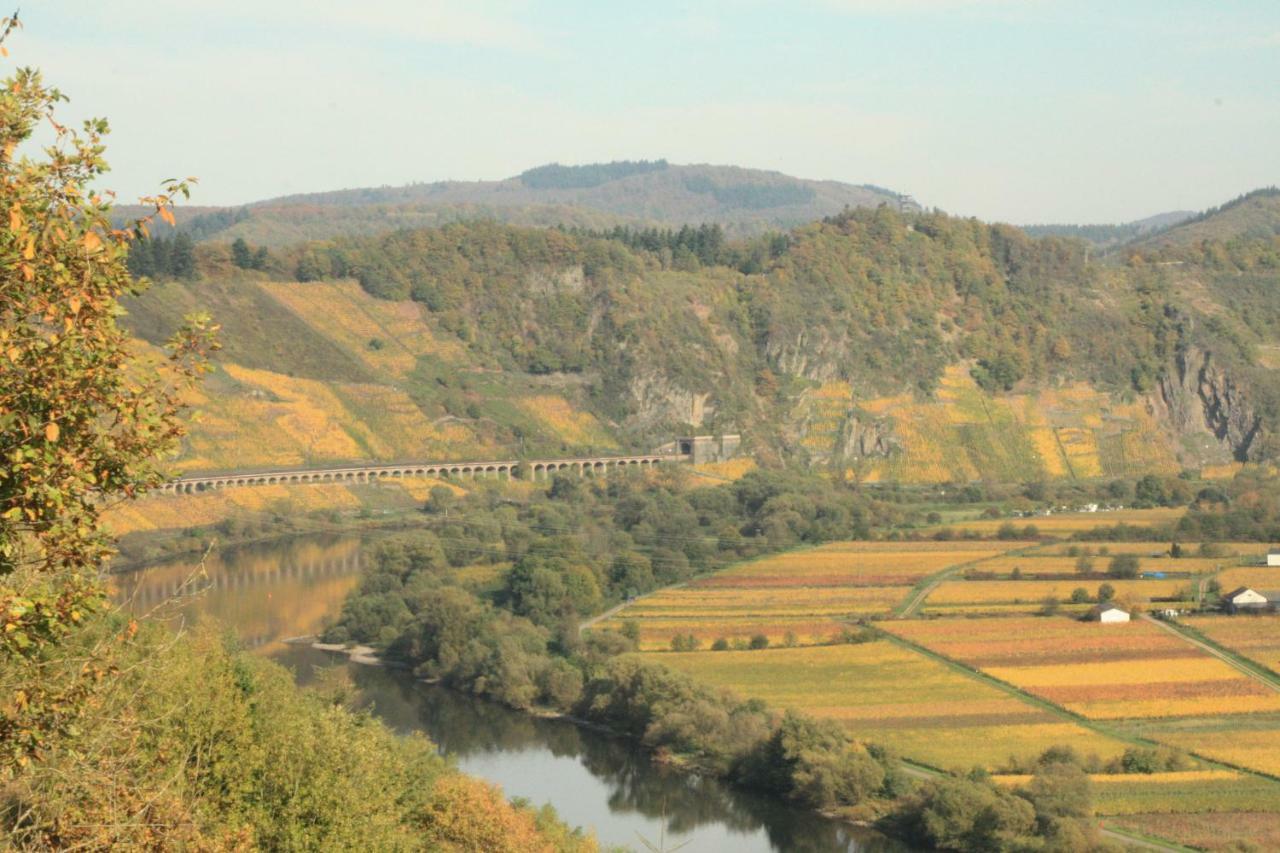 Weingut-Brennerei-Gaestehaus Emil Dauns Рейл Экстерьер фото